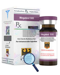 Buy Cheap Megatest 500 Testosterone Acetate